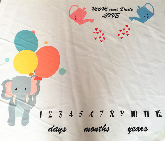 Baby Milestone Blanket Photo Prop