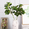 Single Ivy Tree Bark Artificial Camellia Home Interior Decoration Simulated Leaves Props Photography