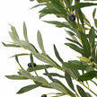 Artificial Olive Tree, 700 Leaves, 180 cm