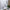 Modern Simple Thickened Solid Thin Window Gauze