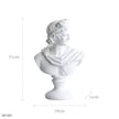 David Venus Statue