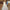 Shoulder lace wedding evening dress