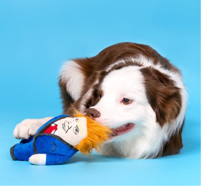 Trump dog molar toy