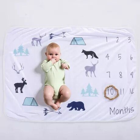 Baby milestone photo blanket photography background