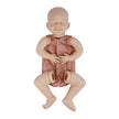Reborn Doll Kit April Real Soft Touch Unpainted Doll Parts