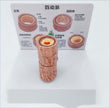 Vascular Anatomy Atheroscosis Teaching Model