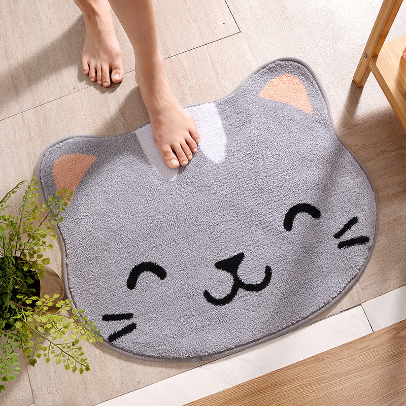 Household Absorbent Non-slip Carpet Door Mat