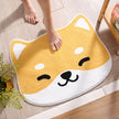 Household Absorbent Non-slip Carpet Door Mat