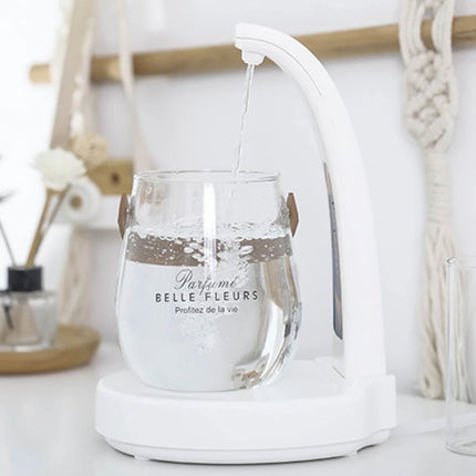 Home Office Gravity Induction Electric Water Pump