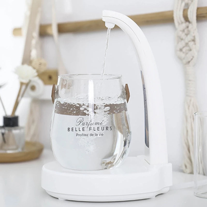 Home Office Gravity Induction Electric Water Pump