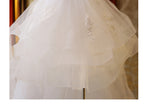 The Bride'S Wedding Dress With Long Tail In Front Of The Studio