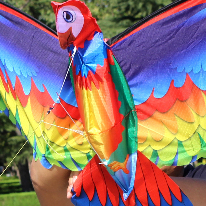 Kite Animal Kite Large Size 3D Parrot Kite 3D Parrot Kite New