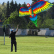 Kite Animal Kite Large Size 3D Parrot Kite 3D Parrot Kite New