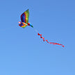 Kite Animal Kite Large Size 3D Parrot Kite 3D Parrot Kite New