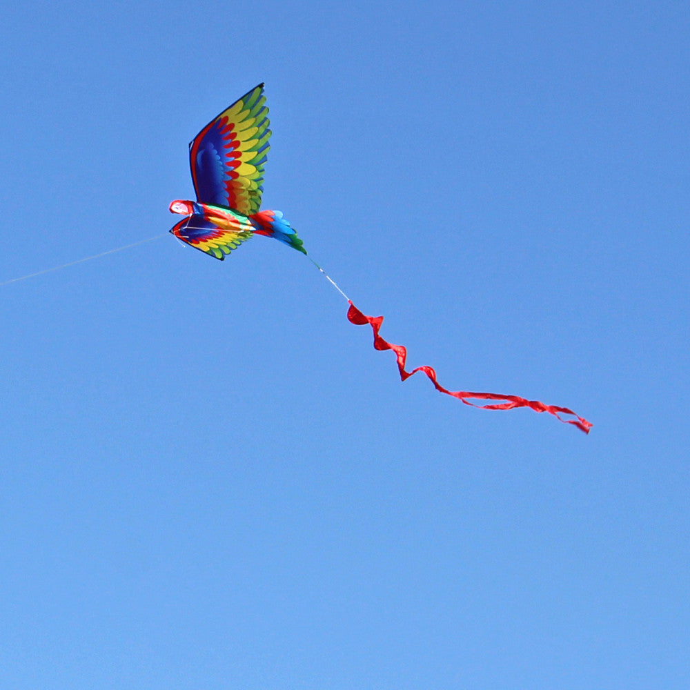 Kite Animal Kite Large Size 3D Parrot Kite 3D Parrot Kite New
