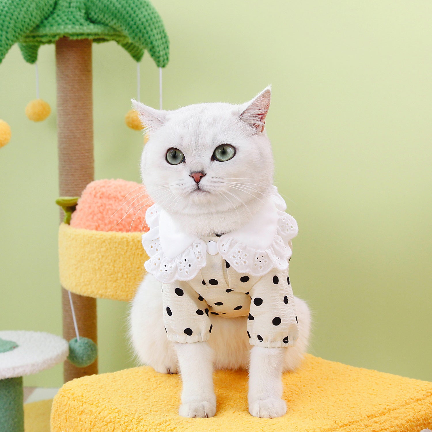 Pet Clothes Blue Cat Ragdoll T-shirt Clothing