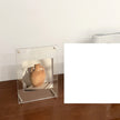 Transparent Acrylic Stand Photo Frame Ins
