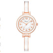 Oumeifeng fashion littlelady bracelet watch simple casual watch women