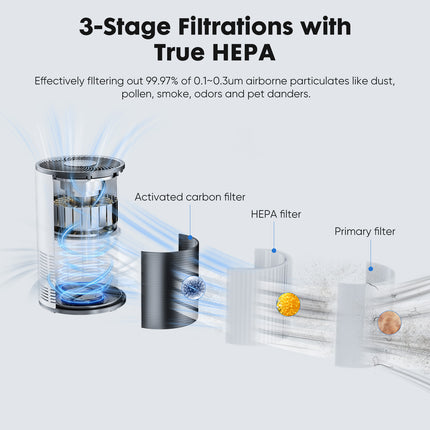 Home Air Purifiers
