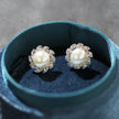 Simple Refined Rhinestone Artificial Pearl Earrings