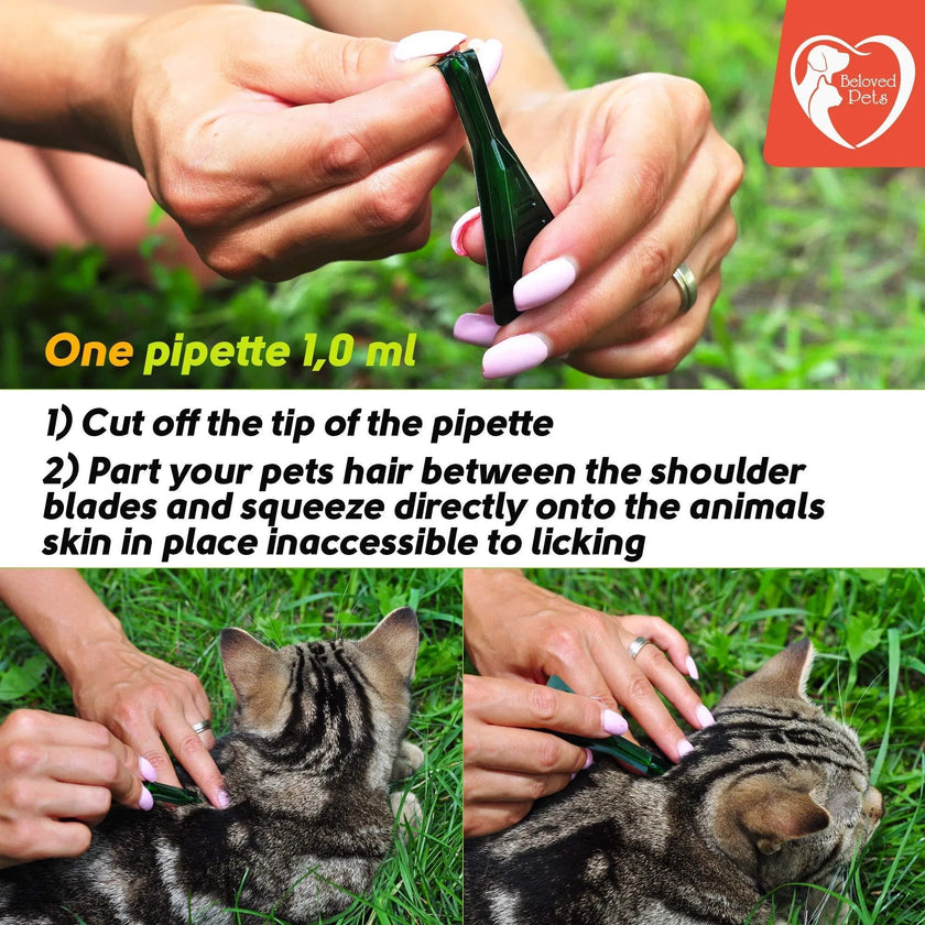 Flea And Tick Prevention For Dogs Cats Rabbits Natural Flea Treatment Home Pest Control Topical Flea Mosquito Repellent For Puppy Kitten 3 Drops For Small And Large Pet