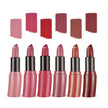 Lipstick Matte Lipstick Kit