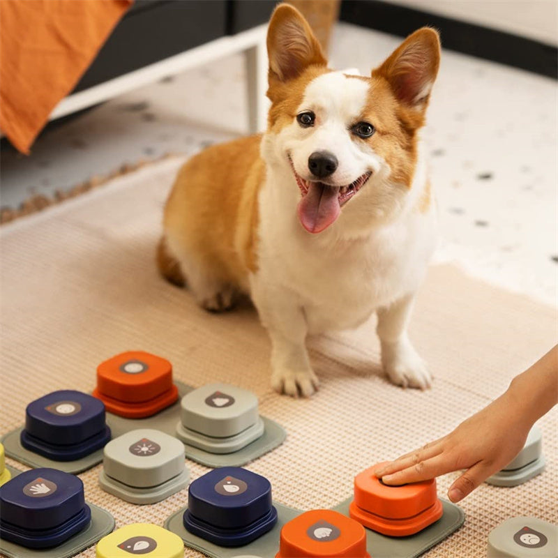 Alpcamers 4 Colors Pet Toy for Cat Toy Pet