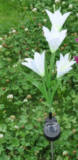 Solar LED Lily Flower Shape Color Changing Light for Garden Lawn Decoration