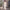 Tube Top Light Wedding Dress Bride Simple Long