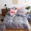 Four-piece set of net red aloe cotton bedding