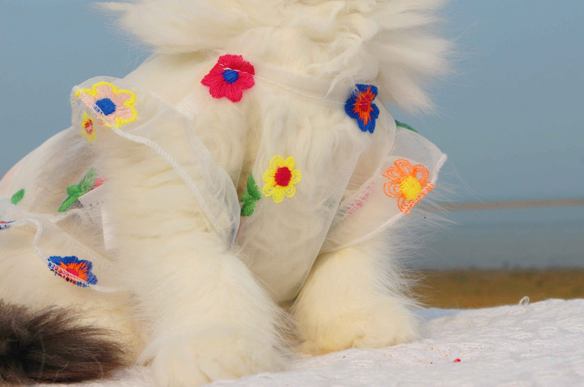 Mesh Flower Embroidery Dress Cat Clothes