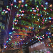 Solar Powered Star Fairy String LED Lights Waterproof Xmas Garden Outdoor Decor