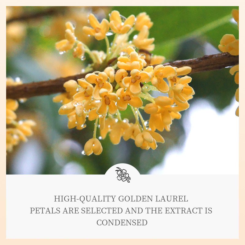Osmanthus Blossom Moisturizing Eye Mask