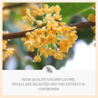 Osmanthus Blossom Moisturizing Eye Mask