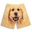 Golden Retriever Shorts Casual Pajamas Pajamas Sports Pants funny pants shorts
