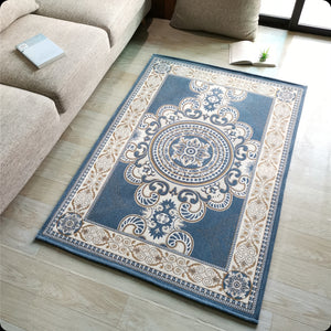 new Style Non-slip Home Entry Carpet