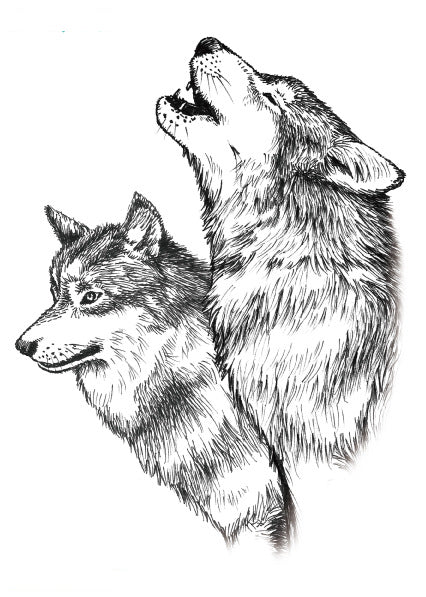 Original Personality Wolf Tattoo Sticker Animal