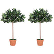 3ft Artificial Olive Tree Indoor Plant Greenery For Home Office Potted In An Orange Pot Set Of 2