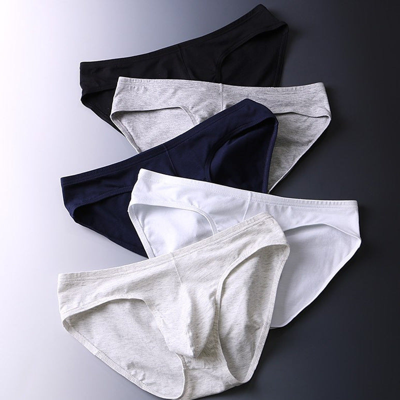 Men's Triangle Cotton Underwear Low Waist Sexy U Pouch