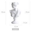 David Venus Statue