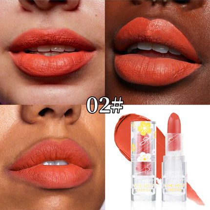 Matte Lipstick 12 Colors Handaiyan Makeup Matte Waterproof