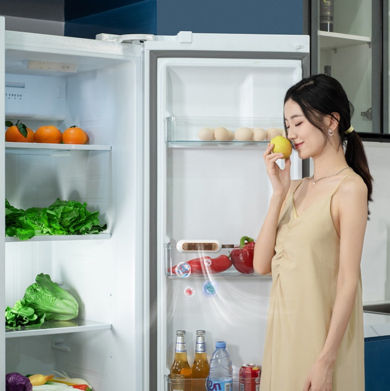 Refrigerator Deodorizer Sterilization Odor Preservation