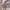 Pregnant Women Thin Safety Pants Anti-exposure Bottom Shorts