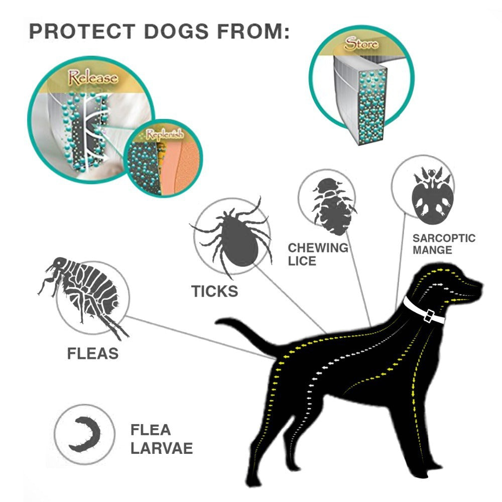 Waterproof Adjustable Insect Repellent Collar Flea Tick Removal