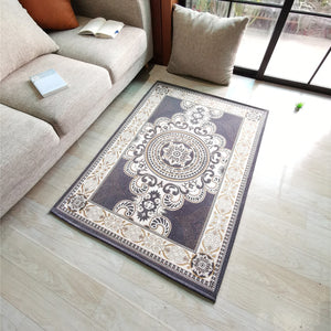 new Style Non-slip Home Entry Carpet