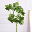 Single Ivy Tree Bark Artificial Camellia Home Interior Decoration Simulated Leaves Props Photography