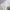 Modern Simple Thickened Solid Thin Window Gauze