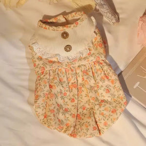 Cat Clothes Anti-lint Autumn Dress Warm And Cute Skirt