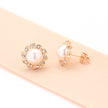 Simple Refined Rhinestone Artificial Pearl Earrings