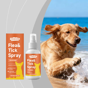 Dog Flea And Tick Prevention Spray